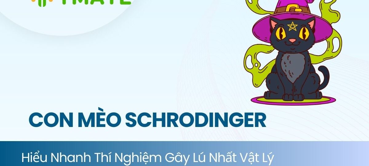 Con mèo Schrodinger