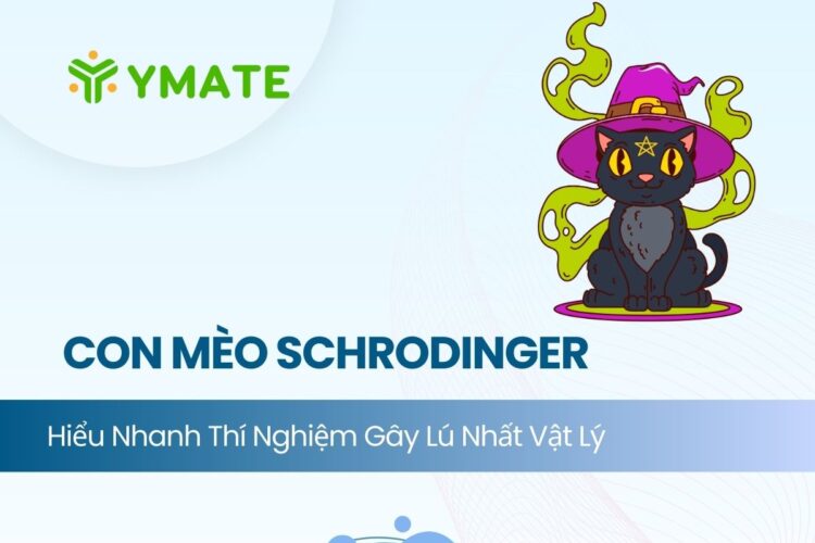 Con mèo Schrodinger
