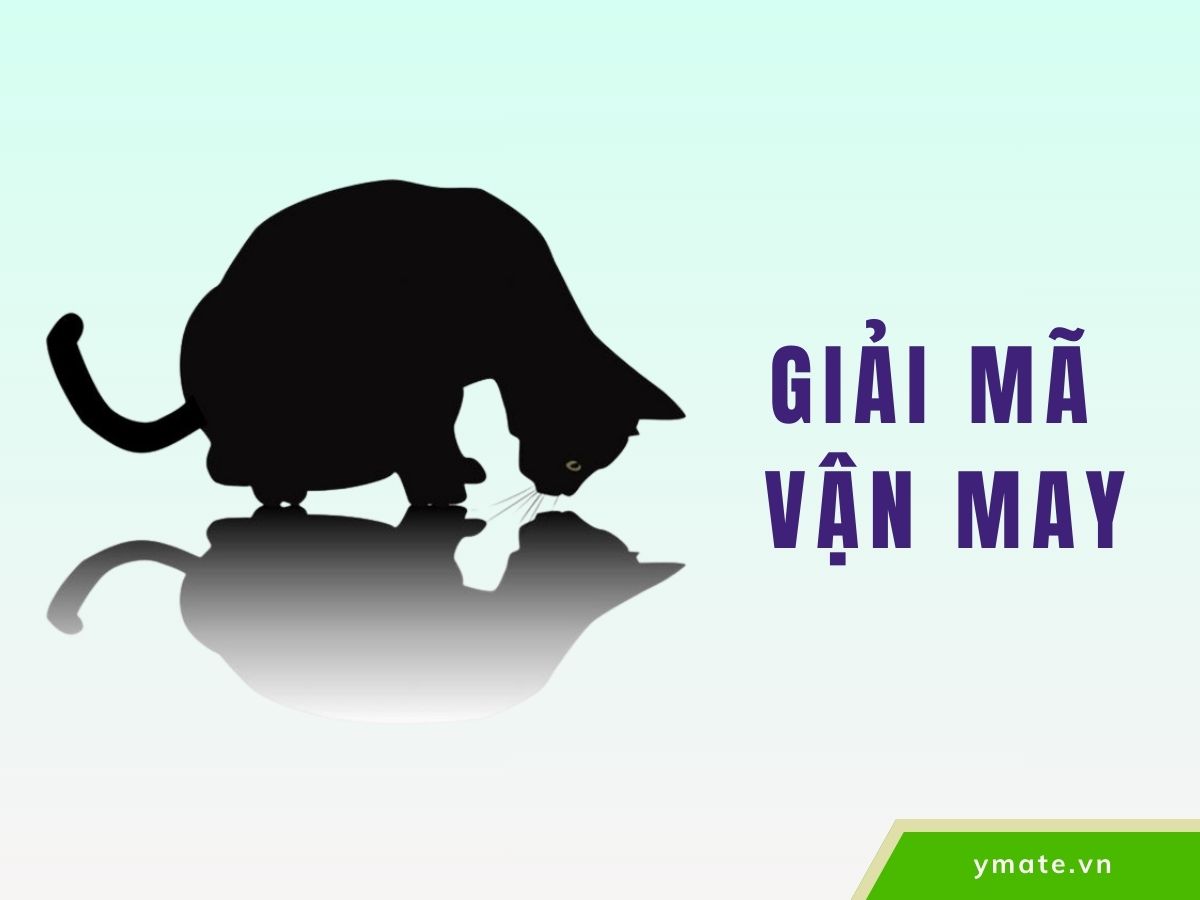 Giải mã 'Vận may'