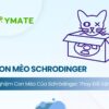 giải mã thí nghiệm con mèo của Schrodinger