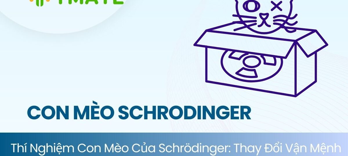 giải mã thí nghiệm con mèo của Schrodinger