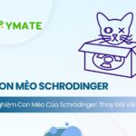 giải mã thí nghiệm con mèo của Schrodinger
