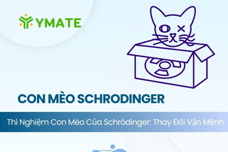 giải mã thí nghiệm con mèo của Schrodinger