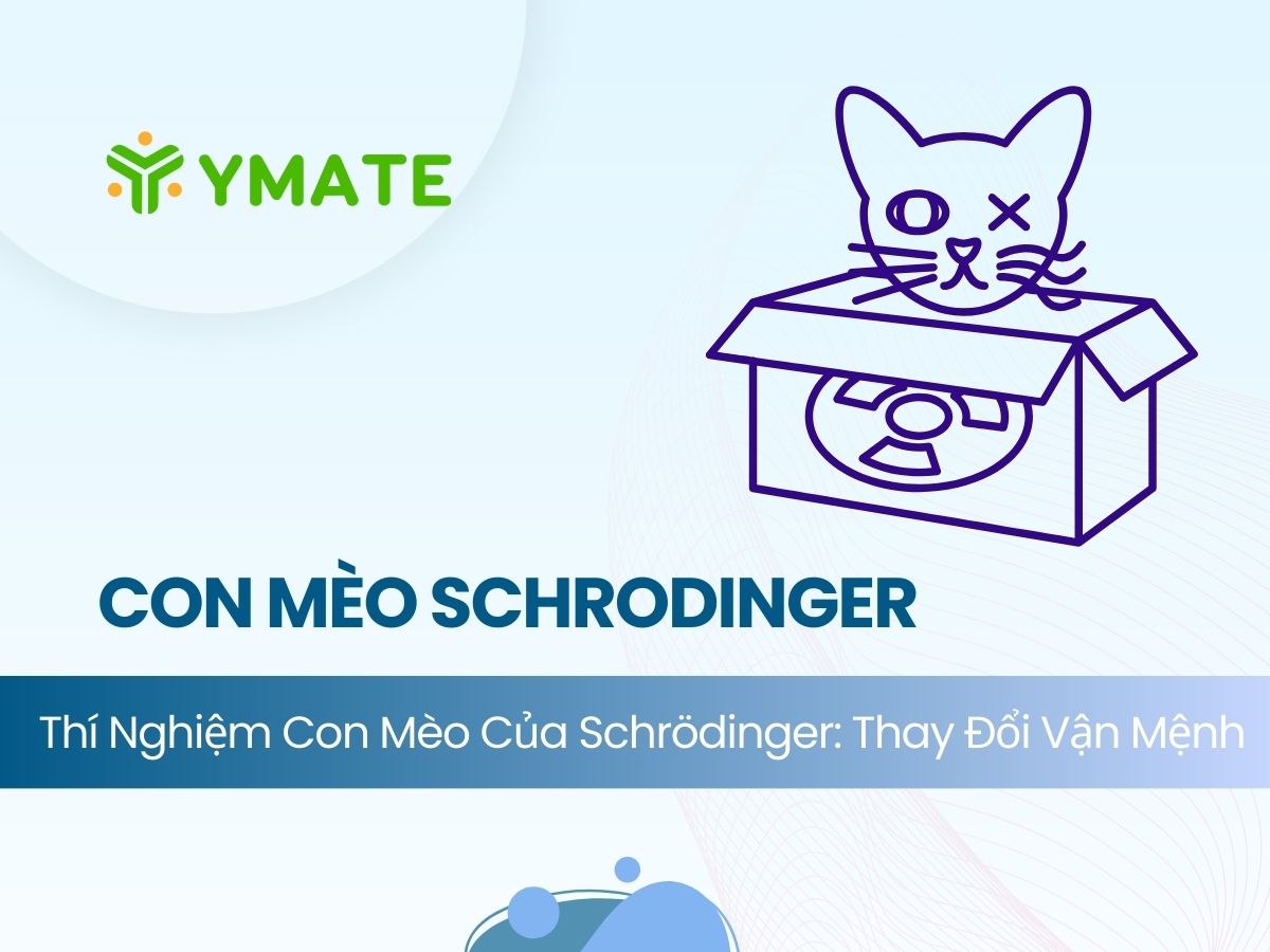 giải mã thí nghiệm con mèo của Schrodinger