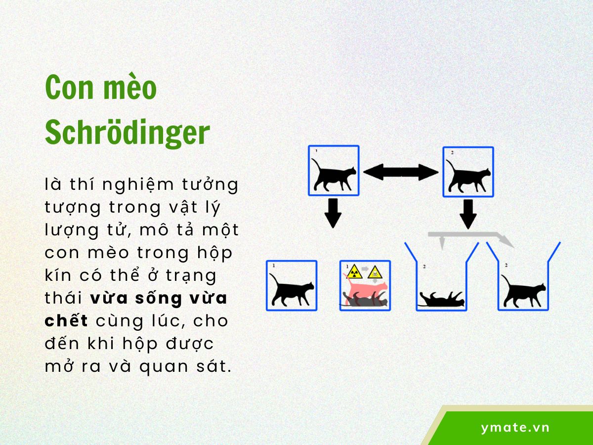 Khái niệm con mèo Schrödinger