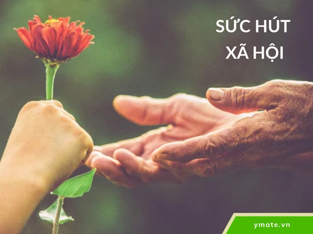 Sức hút xã hội