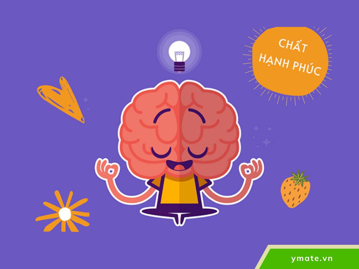 Tái thiết lập sự tập trung