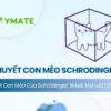 Thuyết con mèo Schrodinger
