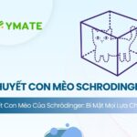 Thuyết con mèo Schrodinger
