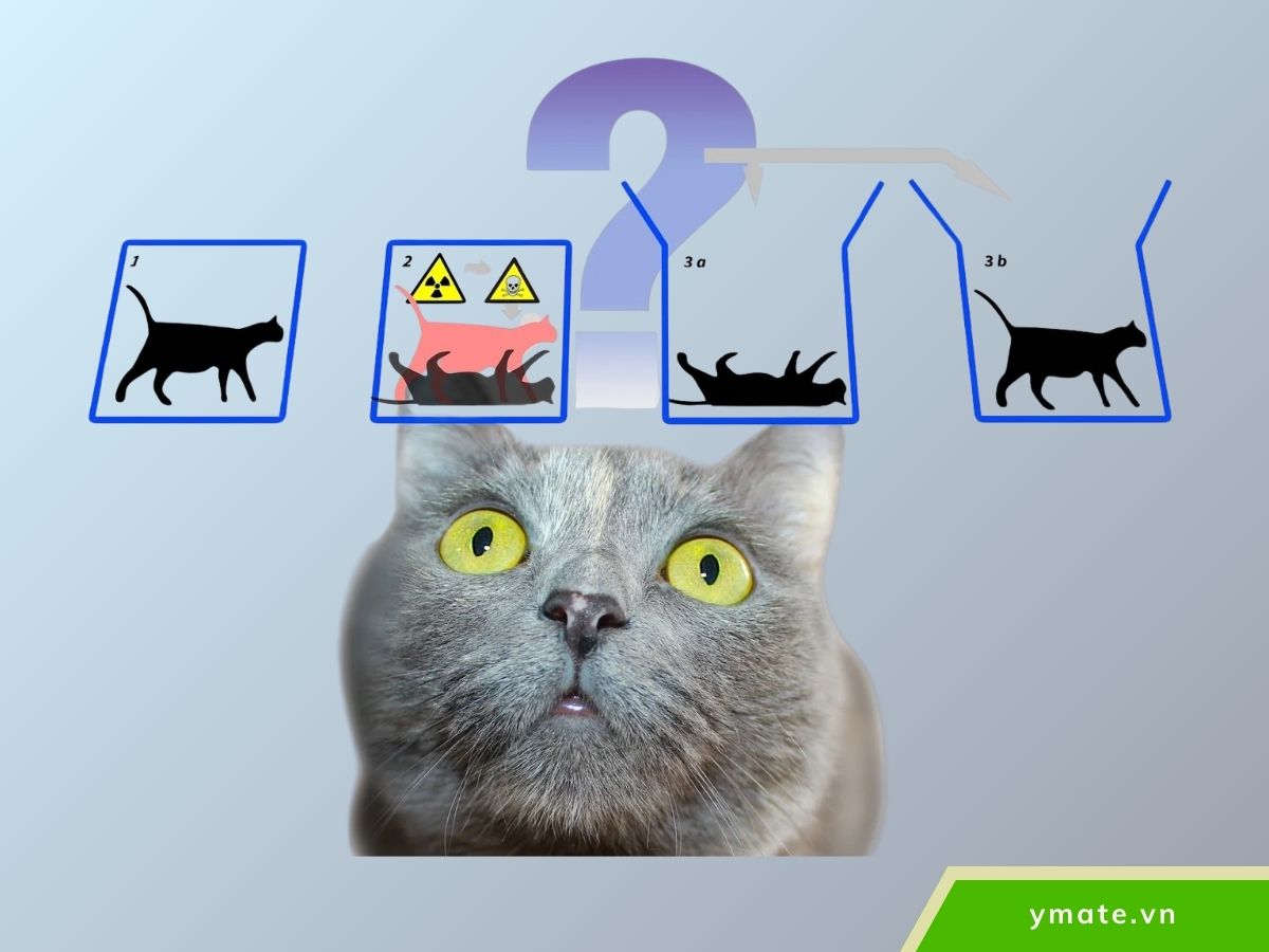 Ý nghĩa triết học của con mèo Schrödinger (1)