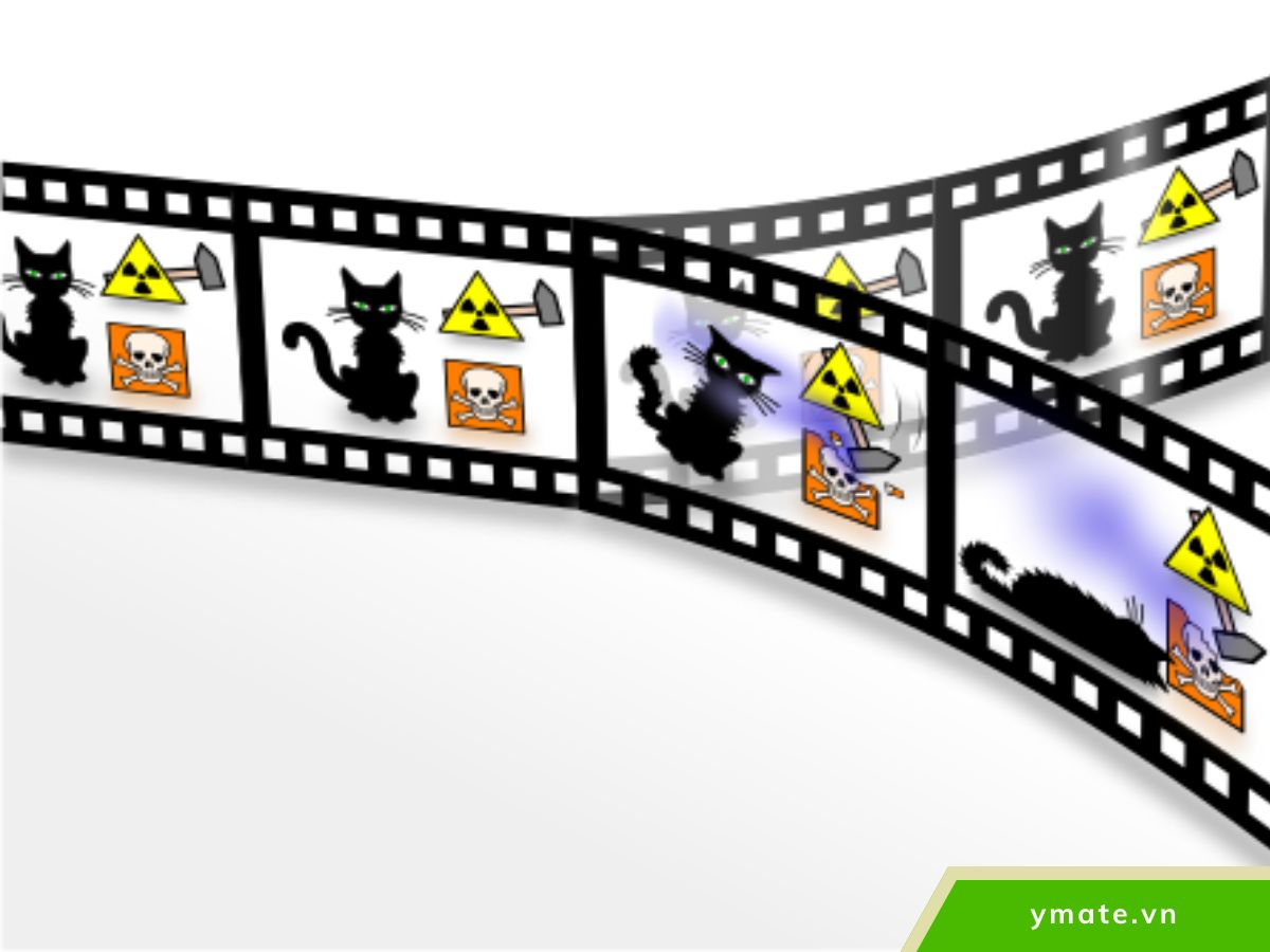 Ý nghĩa triết học của con mèo Schrödinger