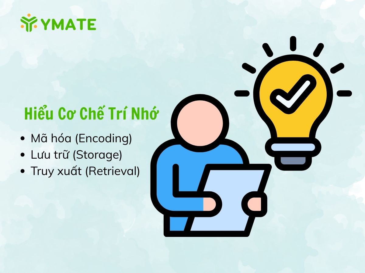 Hiểu Rõ Cơ Chế Trí Nhớ