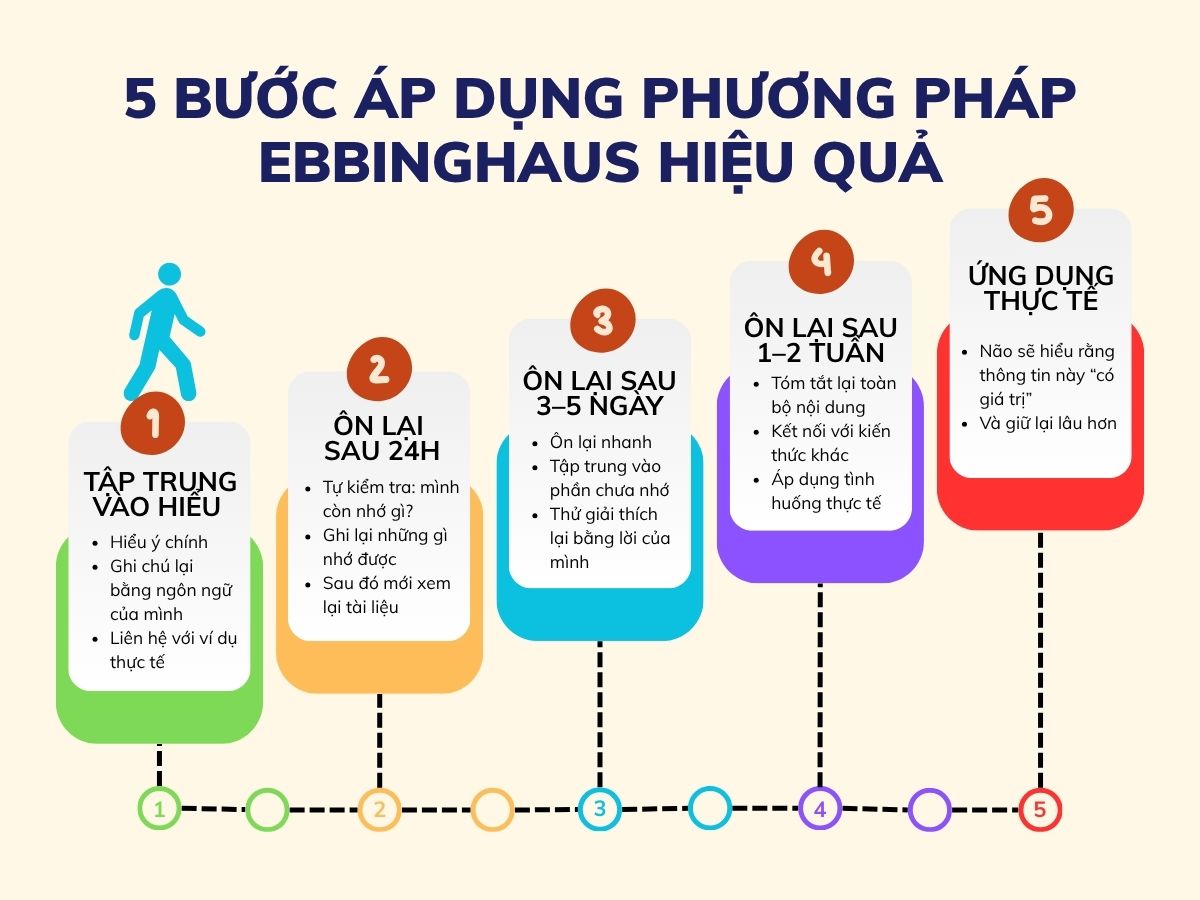 5 Bước áp dụng Phương pháp Ebbinghaus