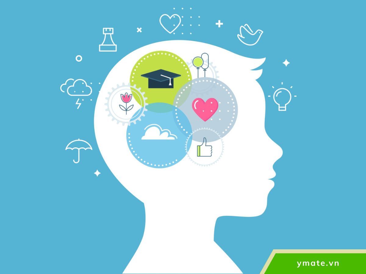 Cân bằng cảm xúc trong học tập, công việc và các mối quan hệ