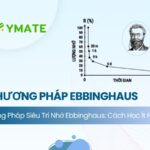 Phương pháp siêu trí nhớ của Ebbinghaus