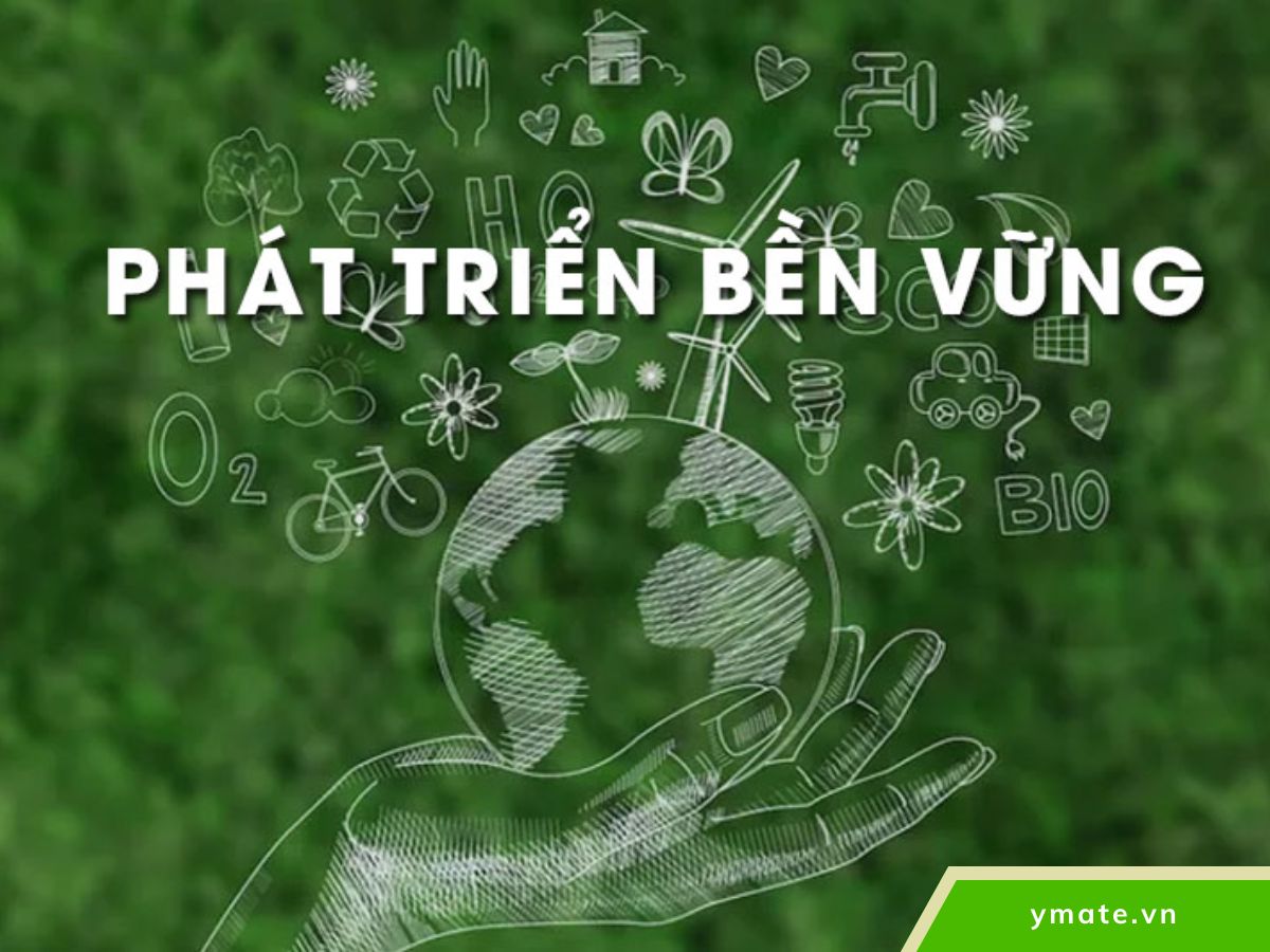 Trân trọng bản thân để phát triển bền vững