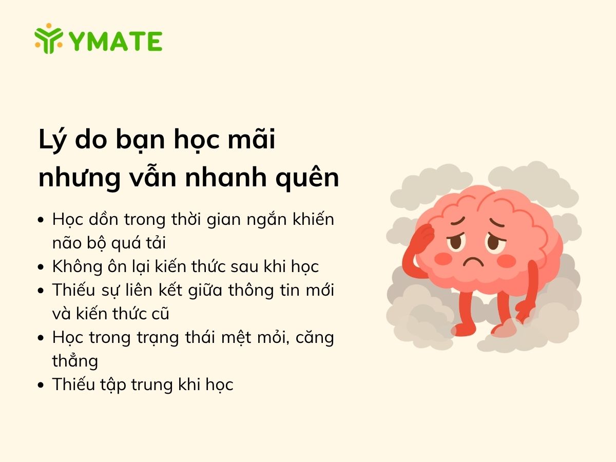 Vì sao bạn học mãi nhưng vẫn nhanh quên