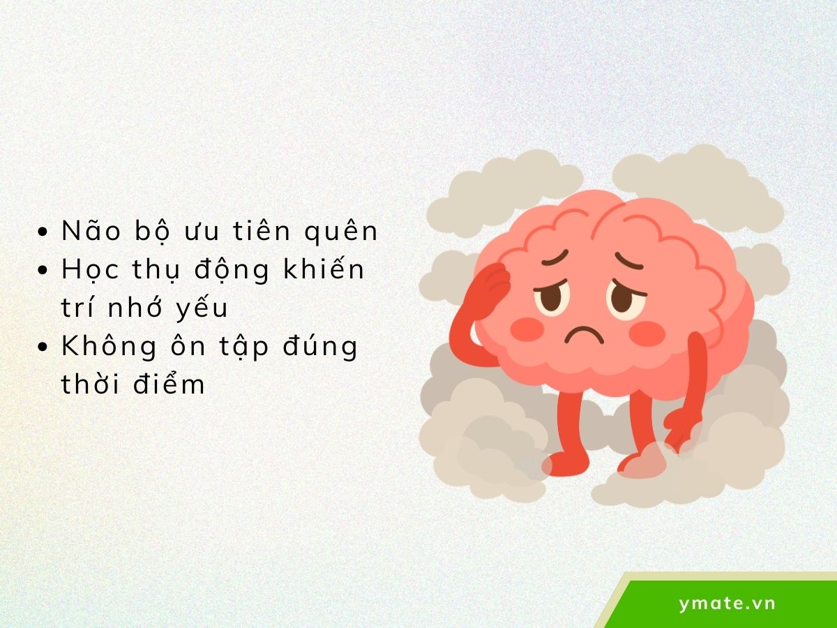 Vì sao bạn quên nhanh dù đã học rất kỹ