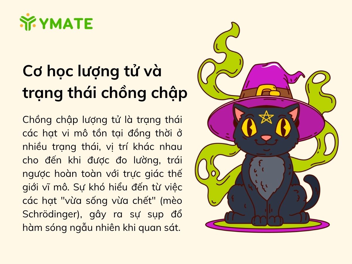 Cơ học lượng tử và trạng thái chồng chập