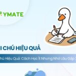 Ghi chú hiệu quả