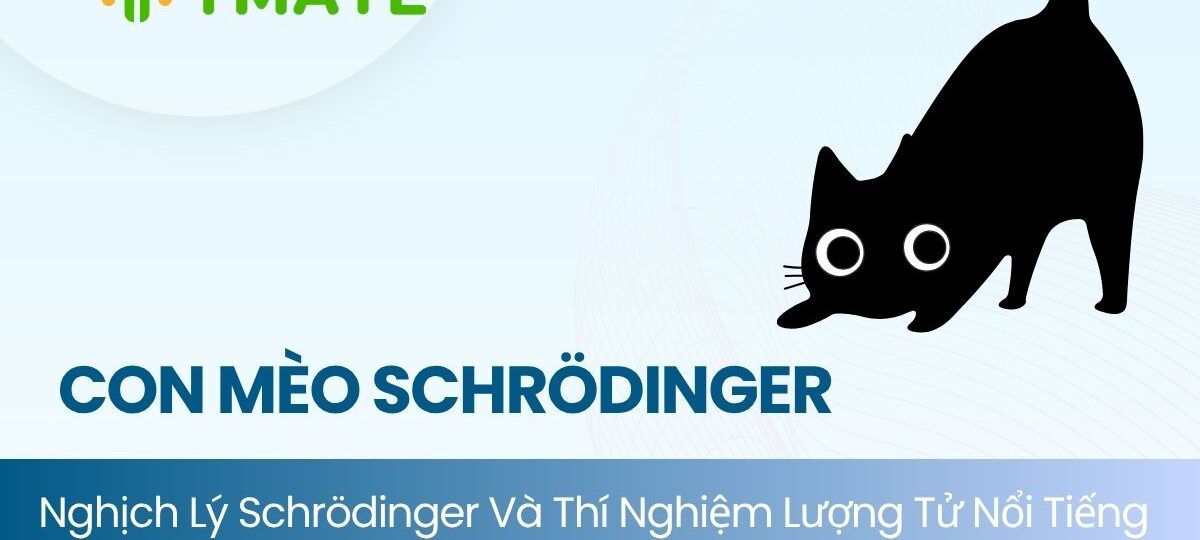 Nghịch lý con mèo của Schrödinger
