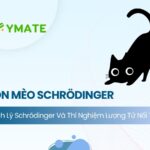 Nghịch lý con mèo của Schrödinger