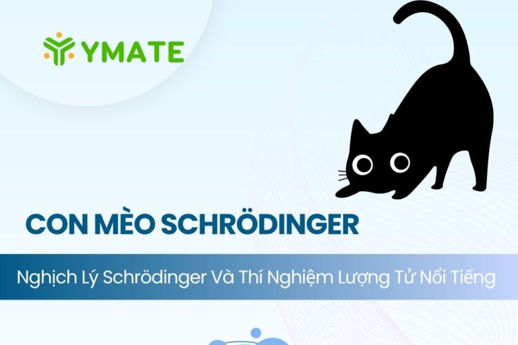 Nghịch lý con mèo của Schrödinger