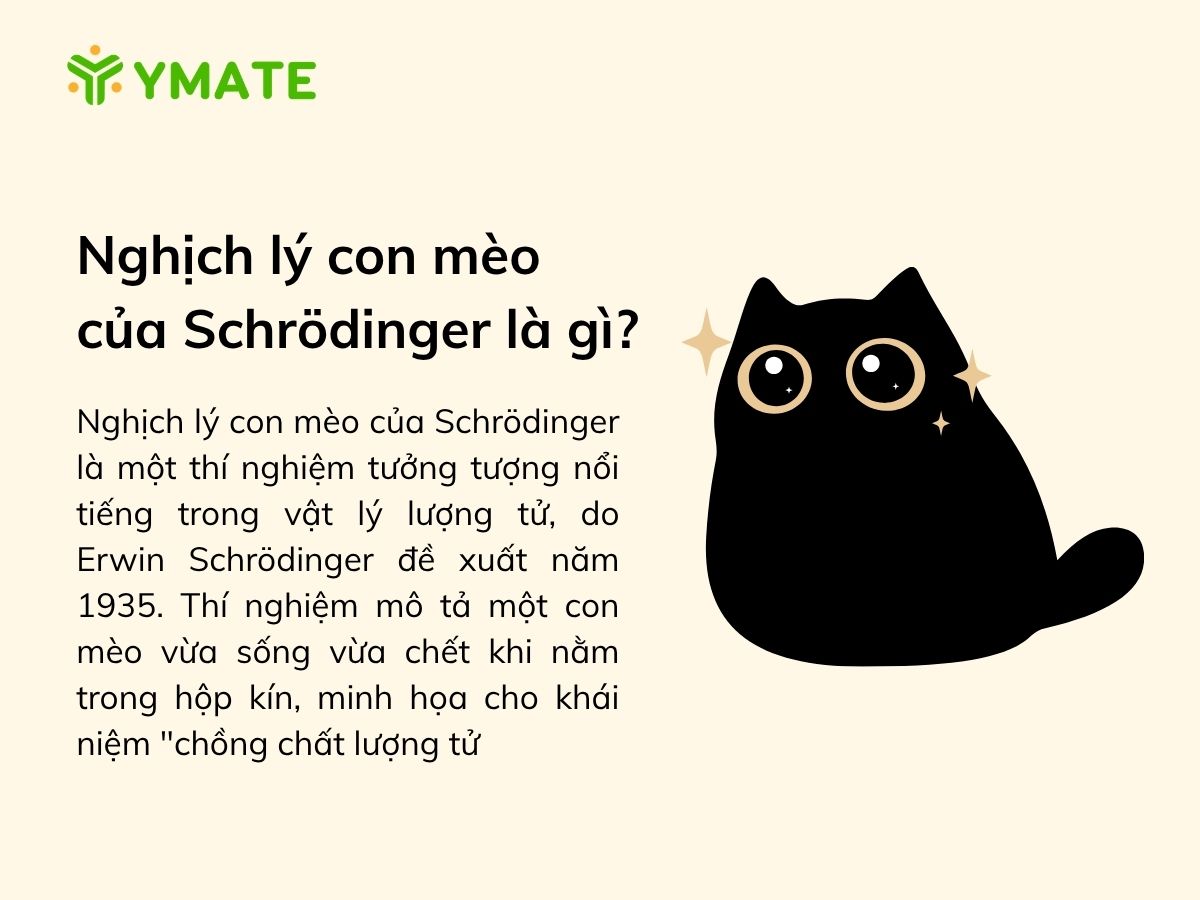 Nghịch lý con mèo của Schrödinger là gì
