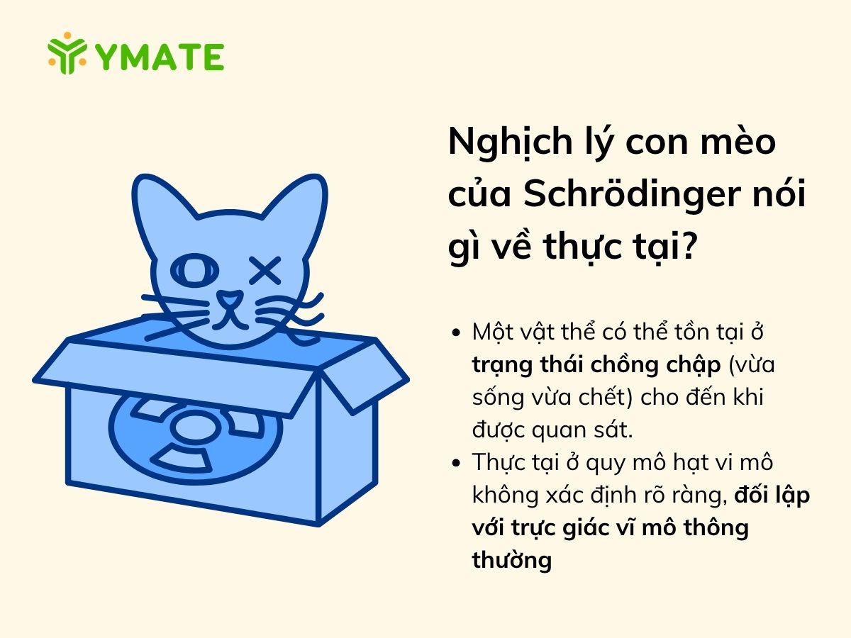 Nghịch lý con mèo của Schrödinger nói gì về thực tại