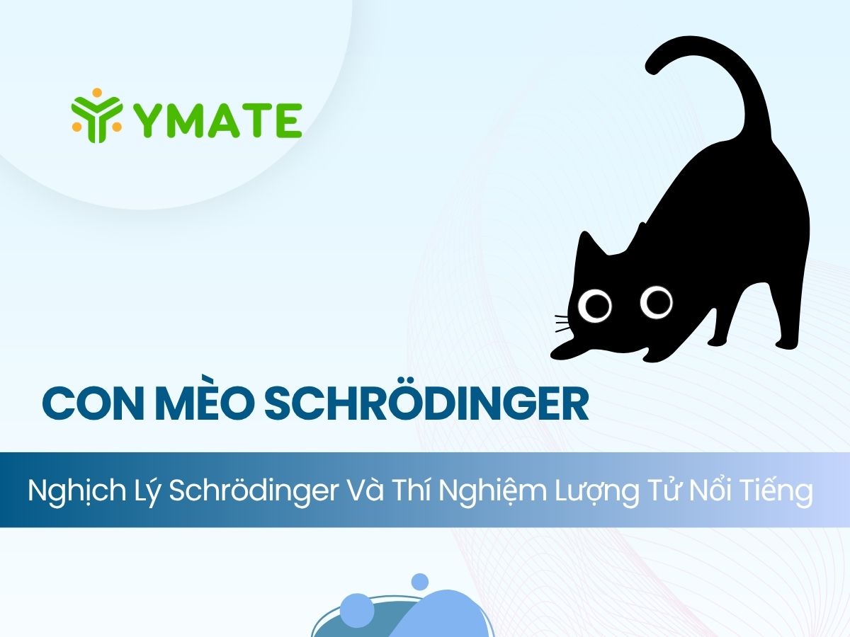 Nghịch lý con mèo của Schrödinger