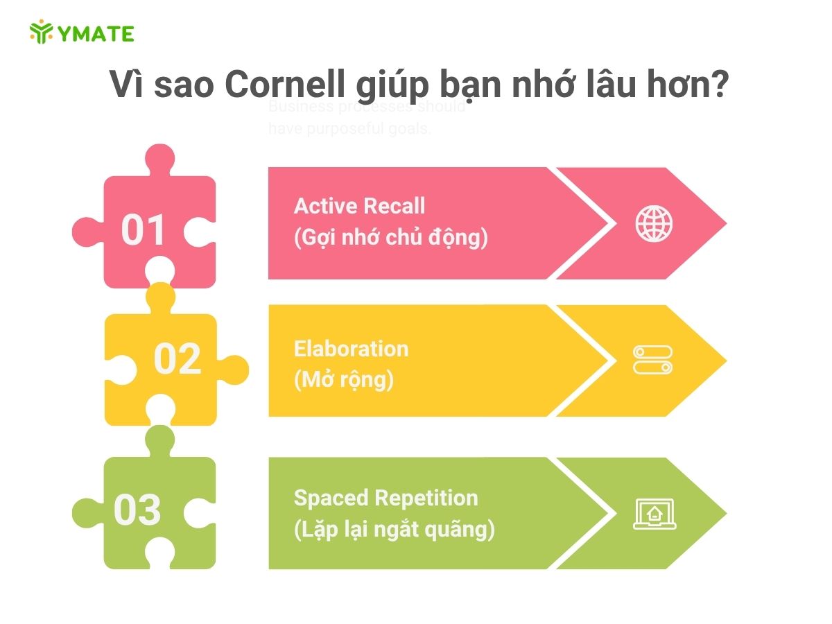 Vì sao Cornell giúp bạn nhớ lâu hơn
