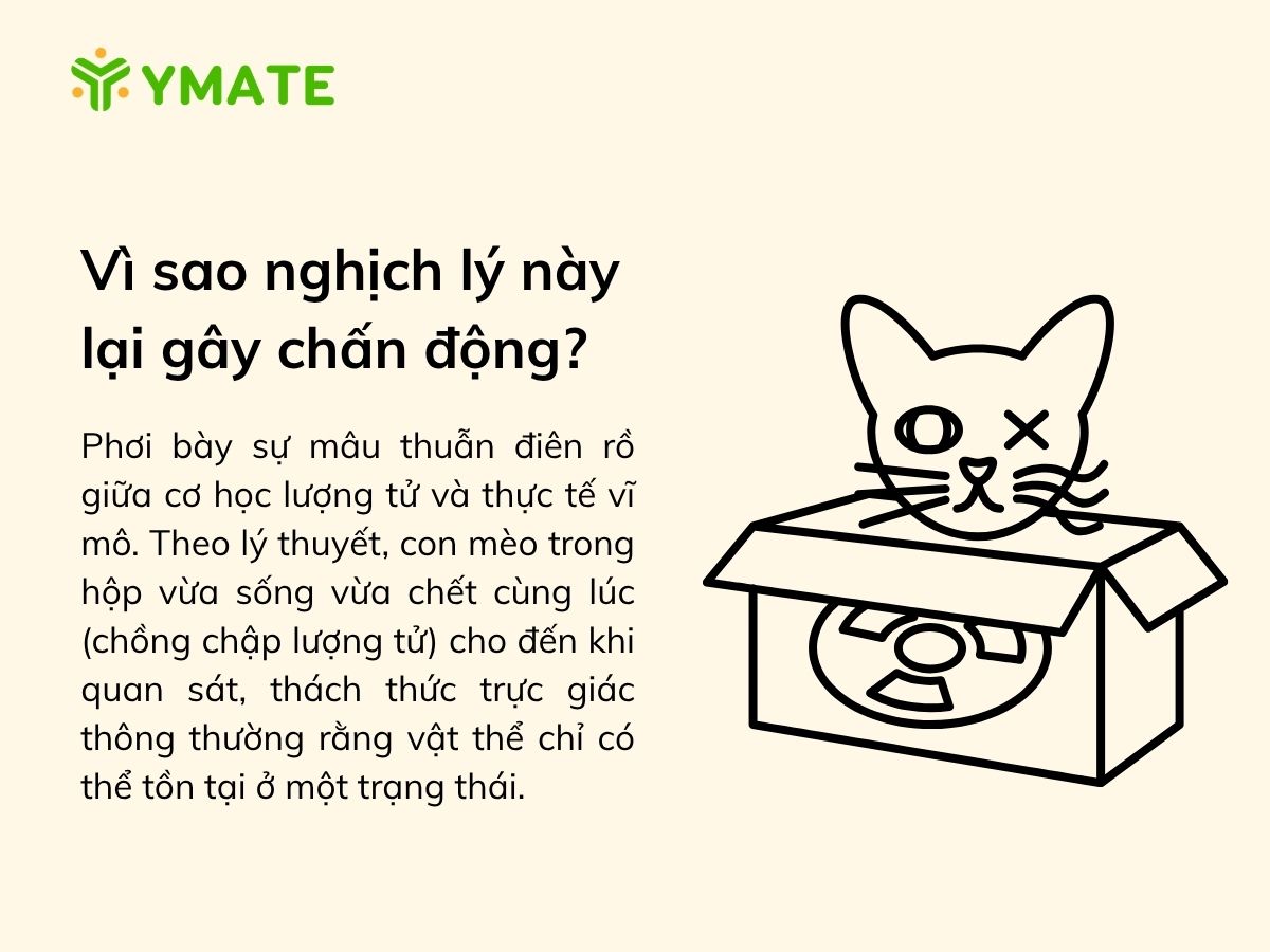 Vì sao nghịch lý này lại gây chấn động