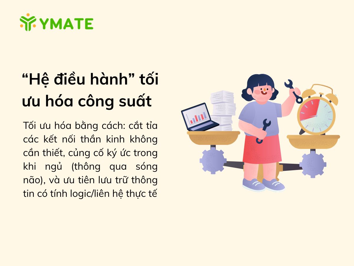 “Hệ điều hành” tối ưu hóa công suất của hồi hải mã