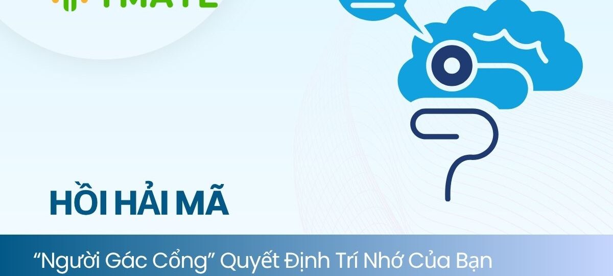 Hồi hải mã