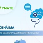 Hồi hải mã