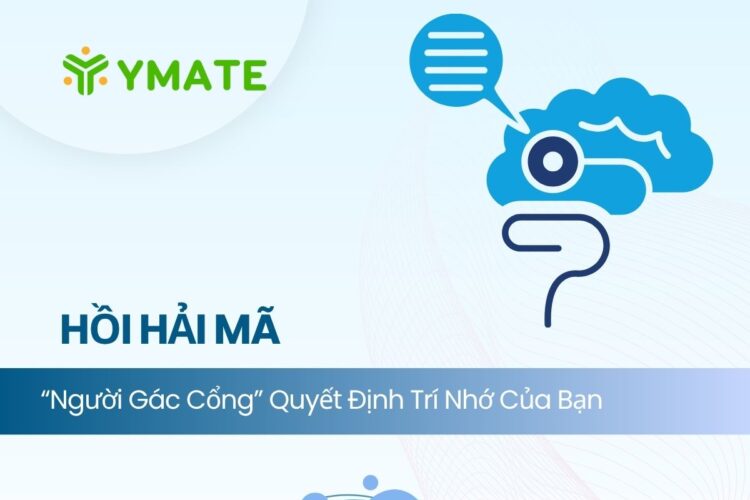 Hồi hải mã