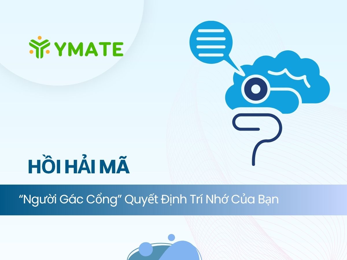 Hồi hải mã