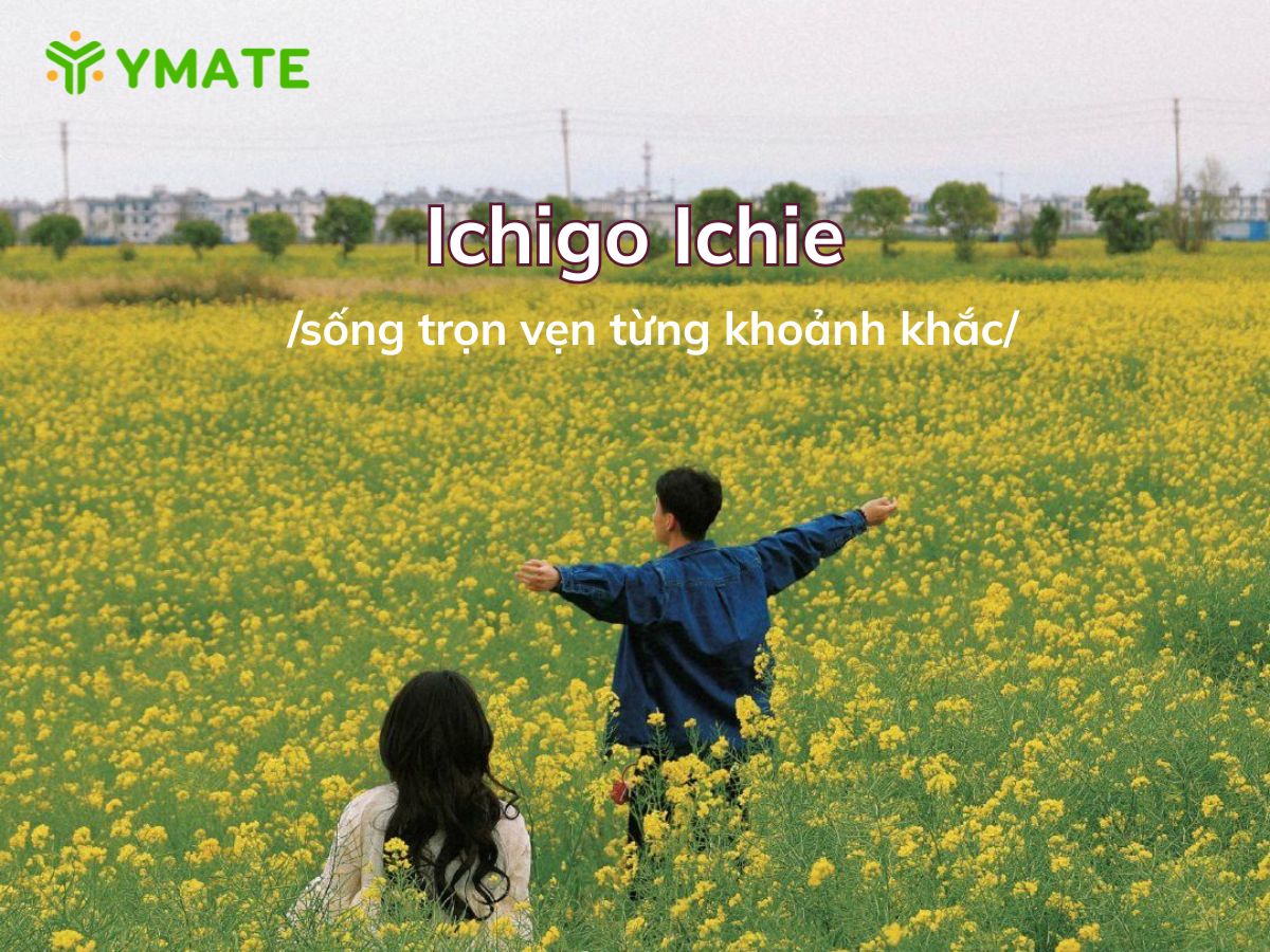 Ichigo Ichie là gì