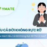 Nếu cả đời không rực rỡ thì có sao