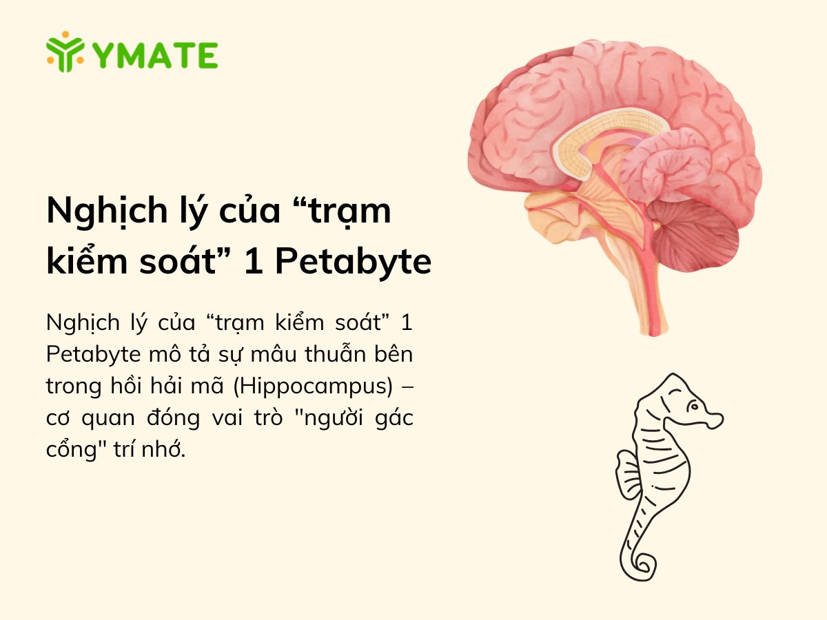 Nghịch lý của “trạm kiểm soát” 1 Petabyte 1