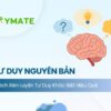 Tư duy nguyên bản