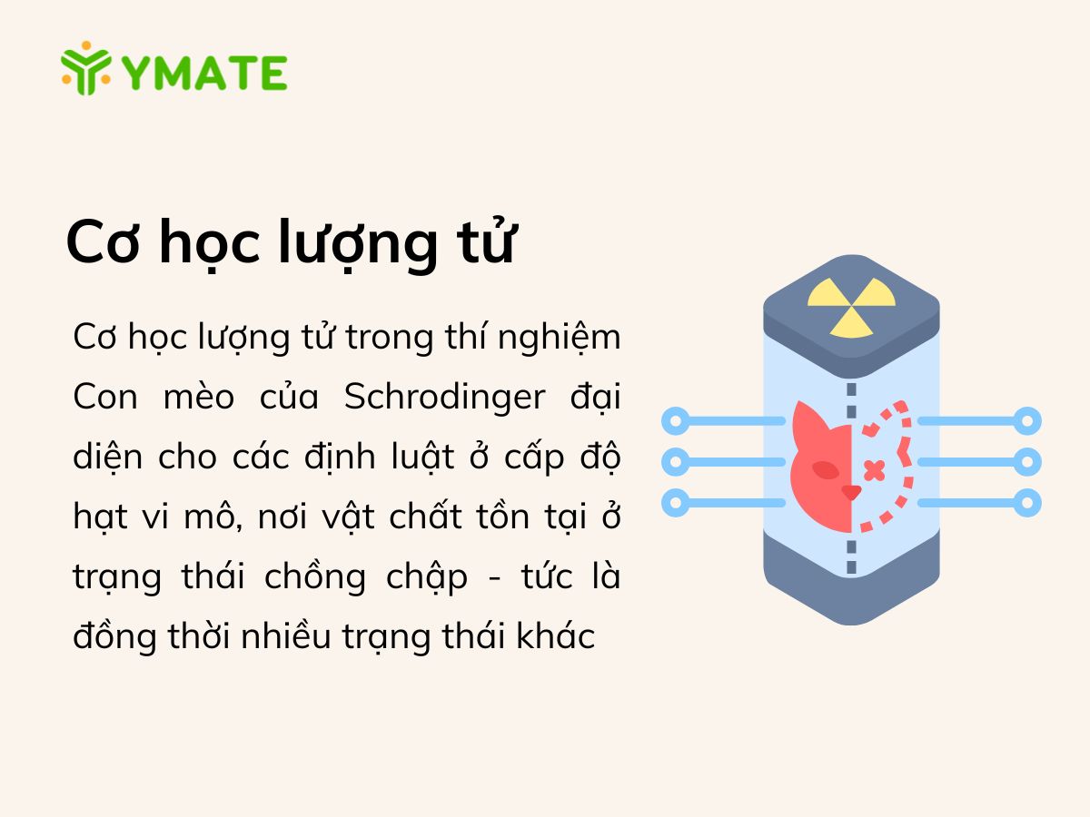Cơ học lượng tử trong thí nghiệm Con mèo của Schrodinger