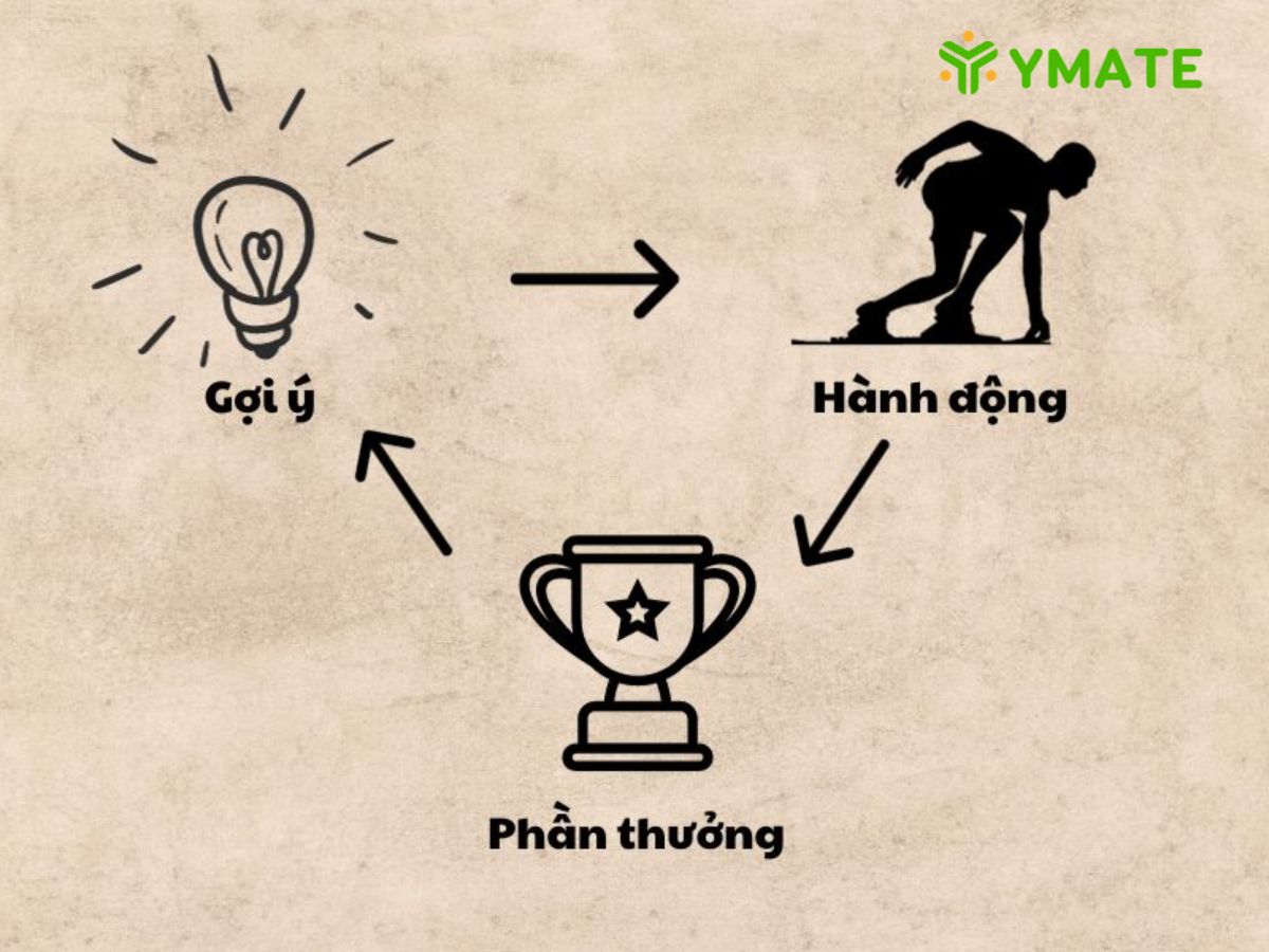 Sức mạnh của những hành động nhỏ lặp lại