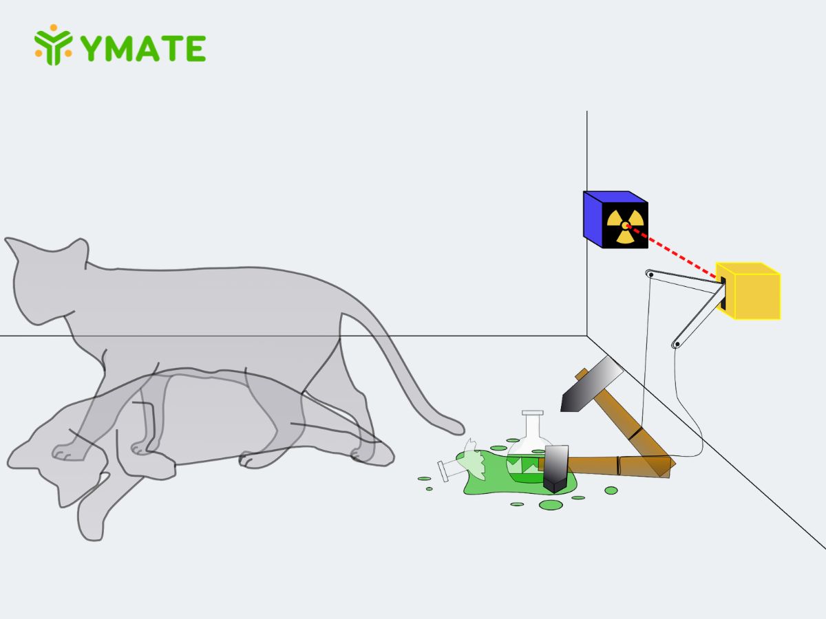 Thí nghiệm con mèo của Schrödinger là gì