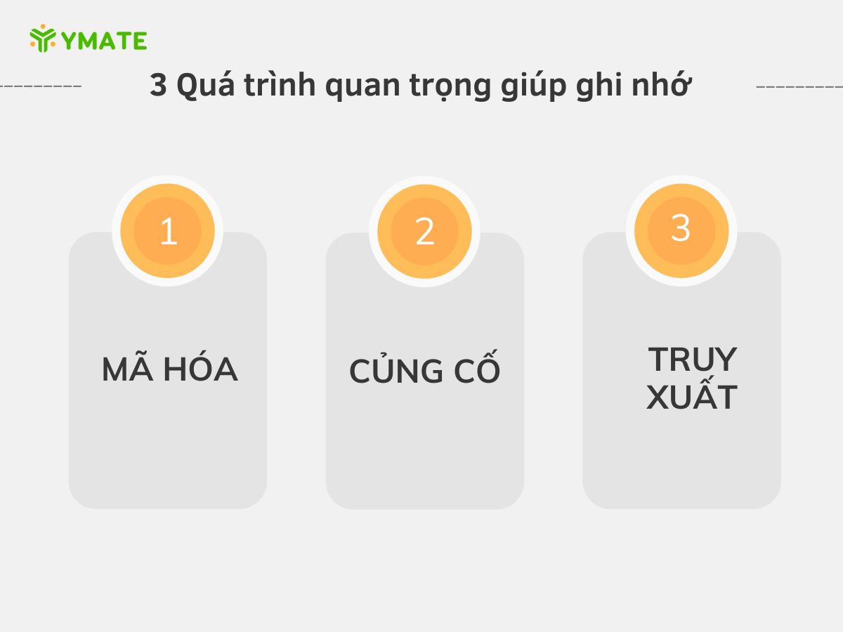 3 Quá trình quan trọng giúp ghi nhớ