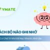 Cách bộ não ghi nhớ