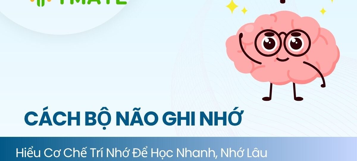 Cách bộ não ghi nhớ