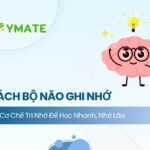 Cách bộ não ghi nhớ