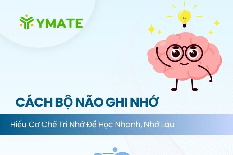 Cách bộ não ghi nhớ