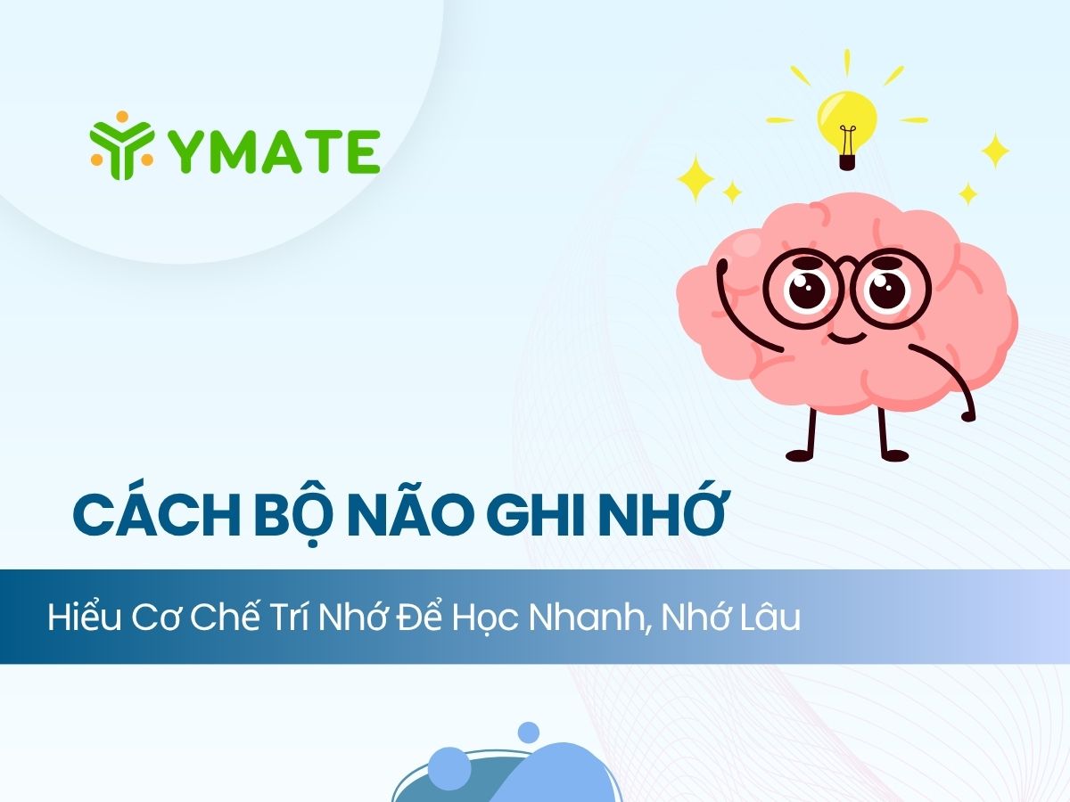 Cách bộ não ghi nhớ